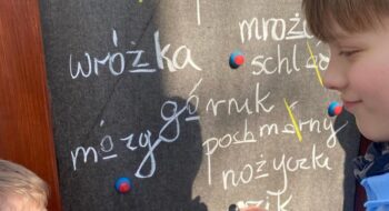 IMG-20240304-WA0020 IMG-20240304-WA0020